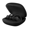 Beats Powerbeats Pro Wireless Earbuds